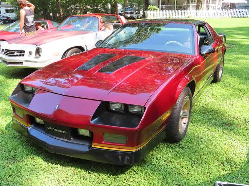 dmc picnic 2024 jul 27 036