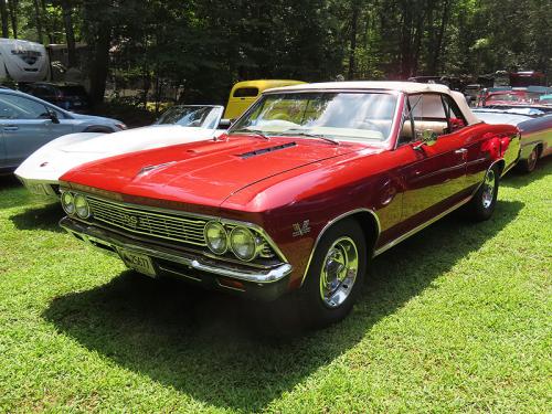 dmc picnic 2024 jul 27 052