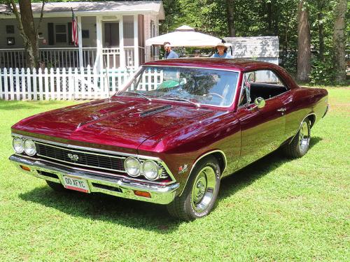 dmc picnic 2024 jul 27 053