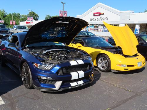 mustang 2024 jun 15 013