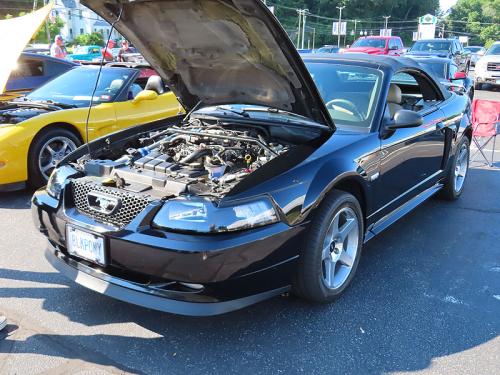 mustang 2024 jun 15 014