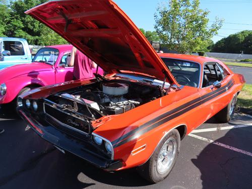 mustang 2024 jun 15 020