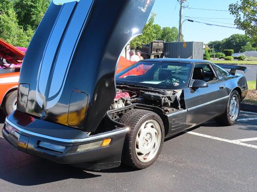 mustang 2024 jun 15 022