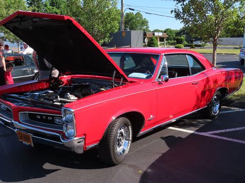 mustang 2024 jun 15 023