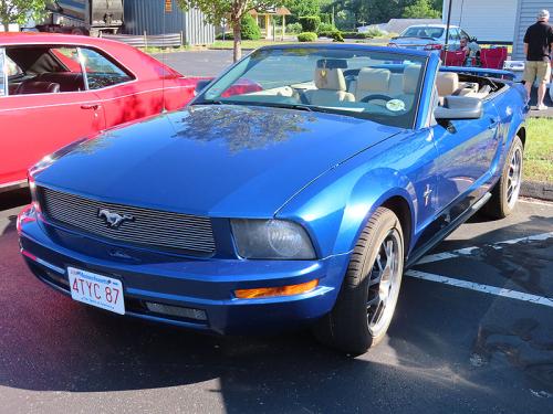 mustang 2024 jun 15 024
