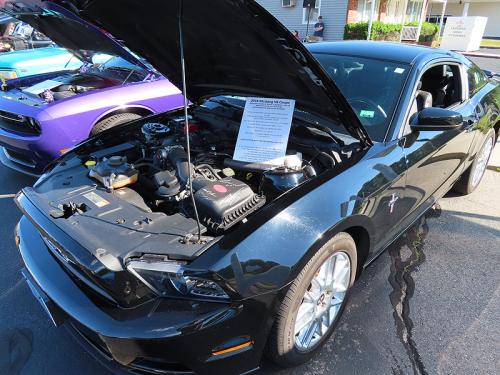 mustang 2024 jun 15 028