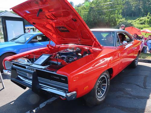 mustang 2024 jun 15 033