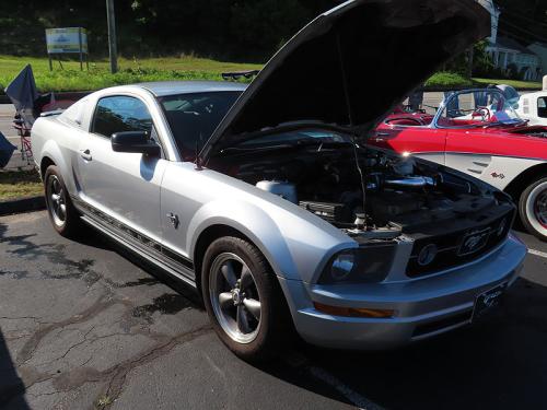 mustang 2024 jun 15 034