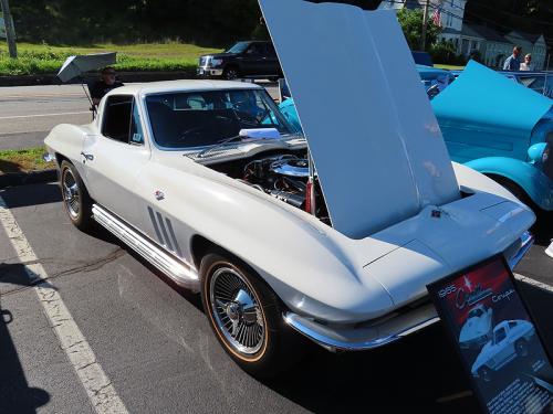 mustang 2024 jun 15 036