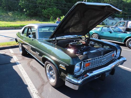 mustang 2024 jun 15 041