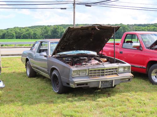 village 2024 jun 11 036