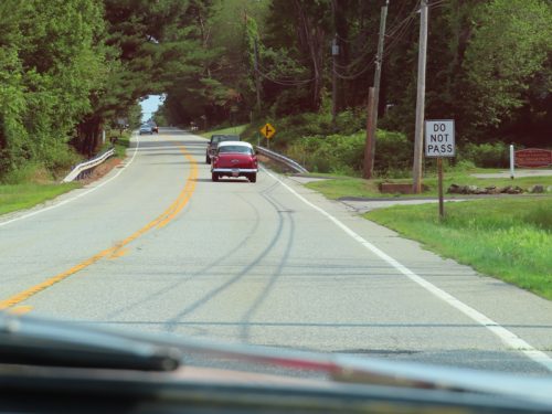 fish farm 2025 jul 5 151