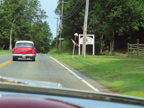 fish farm 2025 jul 5 155