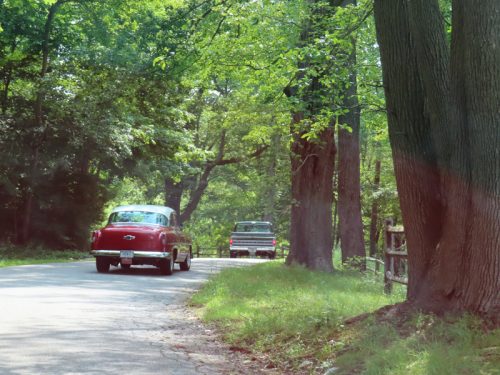 fish farm 2025 jul 5 157