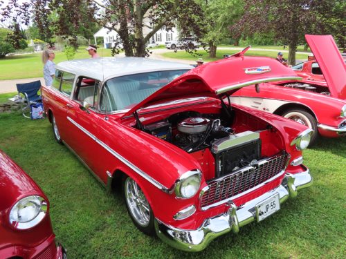 fish farm 2025 jul 5 168