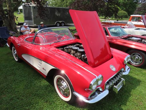 fish farm 2025 jul 5 169