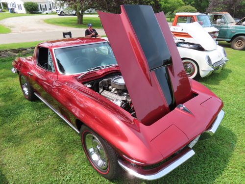 fish farm 2025 jul 5 170