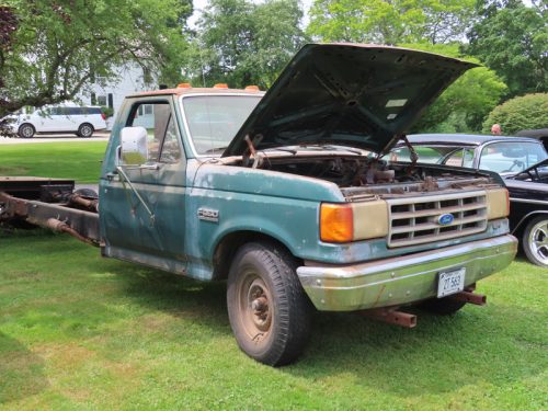 fish farm 2025 jul 5 173