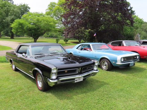 fish farm 2025 jul 5 177