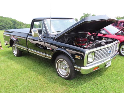 fish farm 2025 jul 5 179