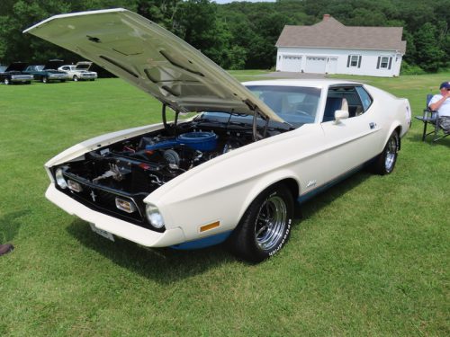 fish farm 2025 jul 5 180