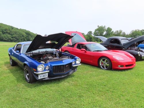 fish farm 2025 jul 5 182