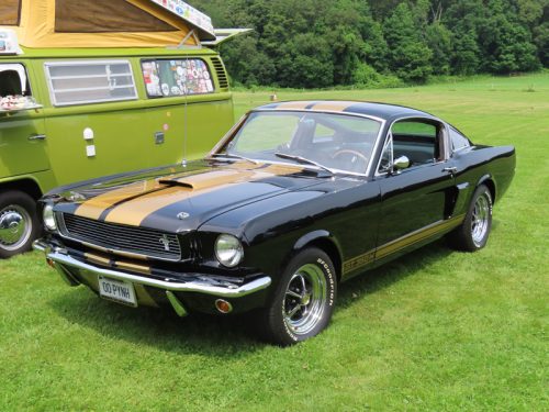 fish farm 2025 jul 5 185