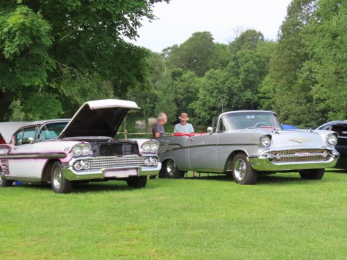 fish farm 2025 jul 5 192