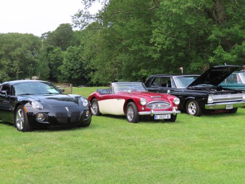 fish farm 2025 jul 5 193