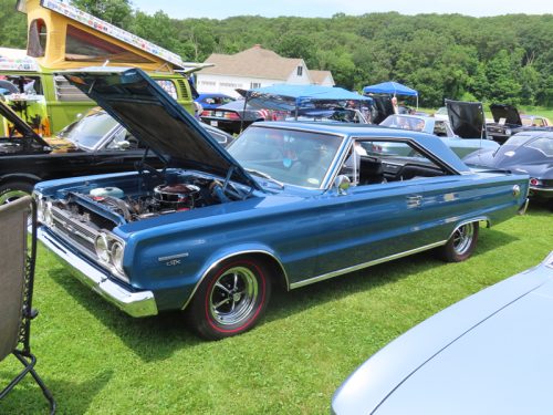 fish farm 2025 jul 5 196