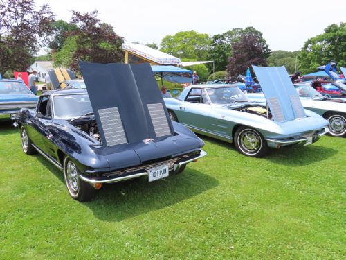 fish farm 2025 jul 5 199