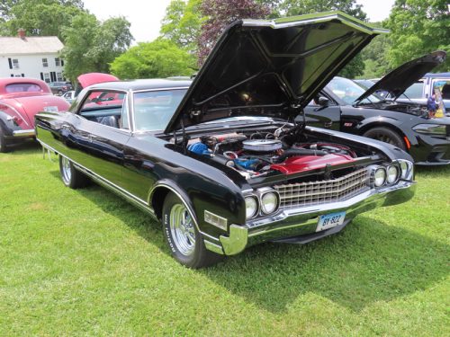 fish farm 2025 jul 5 203