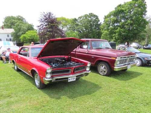 fish farm 2025 jul 5 205