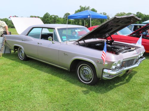 fish farm 2025 jul 5 206