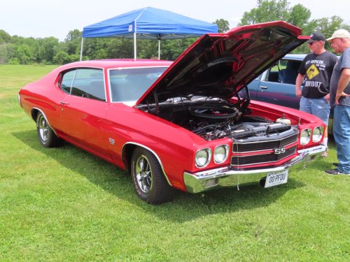 fish farm 2025 jul 5 207