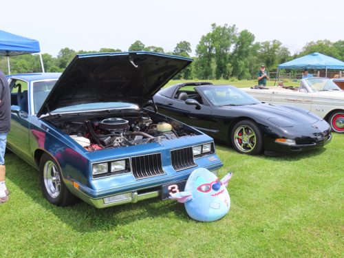 fish farm 2025 jul 5 208