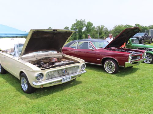 fish farm 2025 jul 5 210