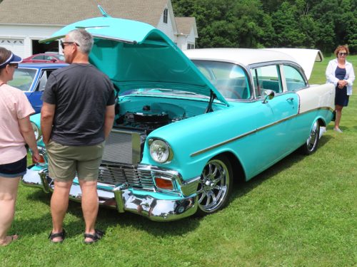 fish farm 2025 jul 5 213