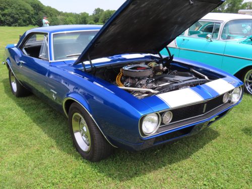 fish farm 2025 jul 5 214