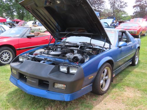 fish farm 2025 jul 5 216