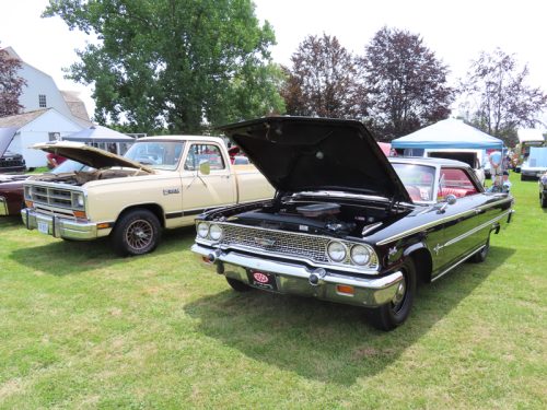 fish farm 2025 jul 5 221