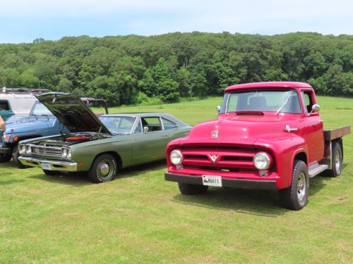 fish farm 2025 jul 5 223