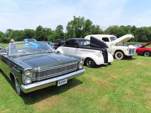 fish farm 2025 jul 5 233