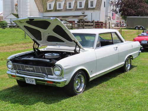 fish farm 2025 jul 5 236