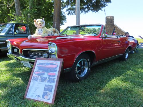 hillyland 2025 jul 19 153