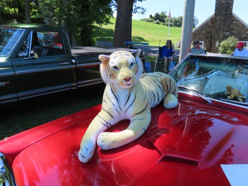 hillyland 2025 jul 19 154