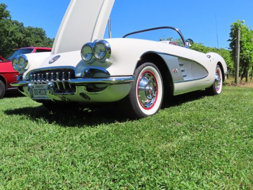 hillyland 2025 jul 19 162