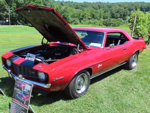 hillyland 2025 jul 19 163