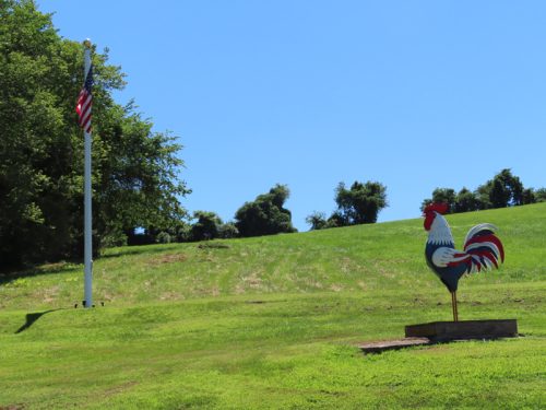 hillyland 2025 jul 19 165