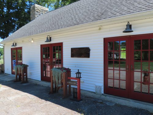 hillyland 2025 jul 19 166